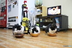 キングギドニャ