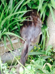 頭隠して。。。