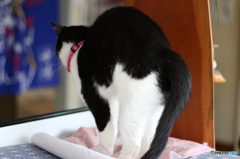あーち