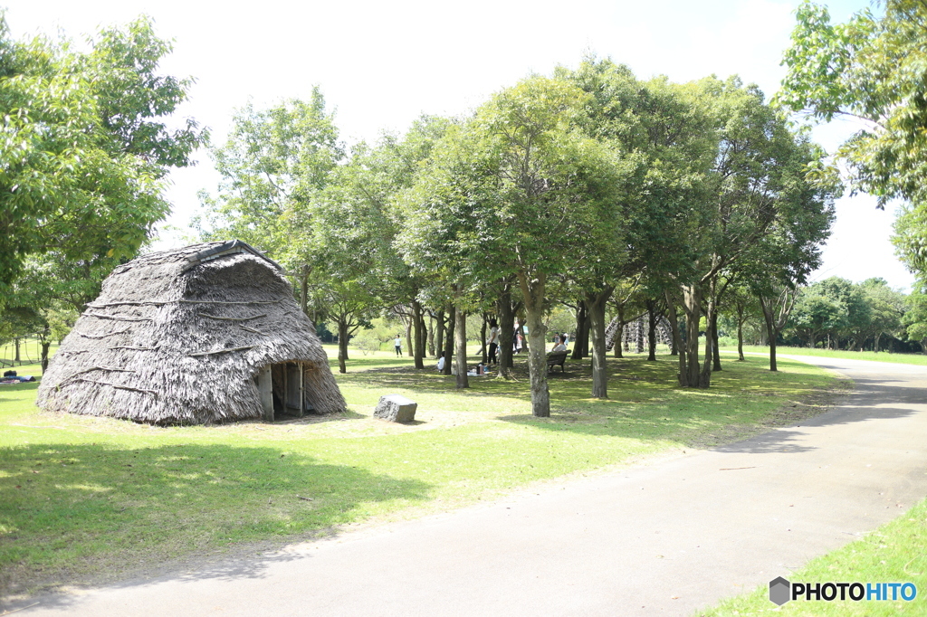 日本最古の縄文遺跡兼TDN公園1