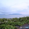 鹿児島の梅雨明けは遠い