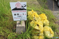磯庭園でも見た(´・ω・｀)
