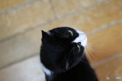 もうちょい上。。。