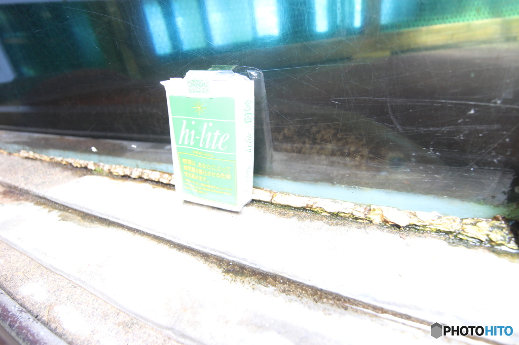池田湖の巨大ウナギ1