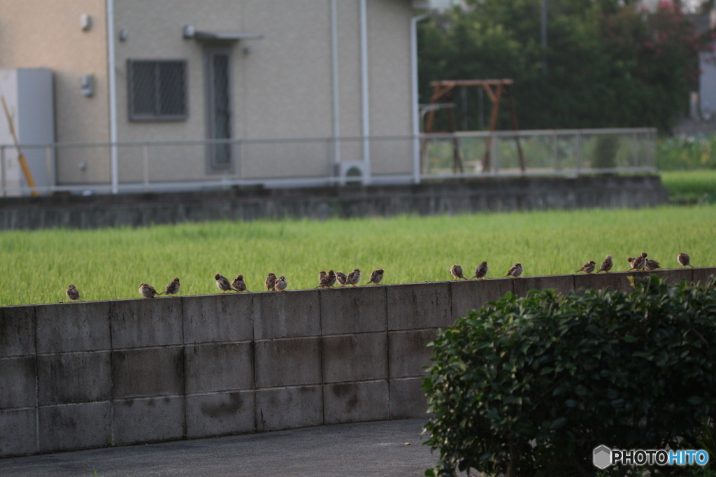 ずらずらっと