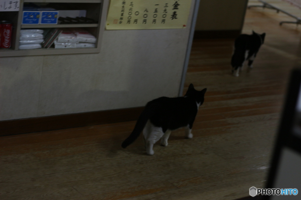 連れ風呂