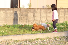 子犬と幼女