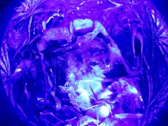 飲み屋のねーちんと撮影会なう