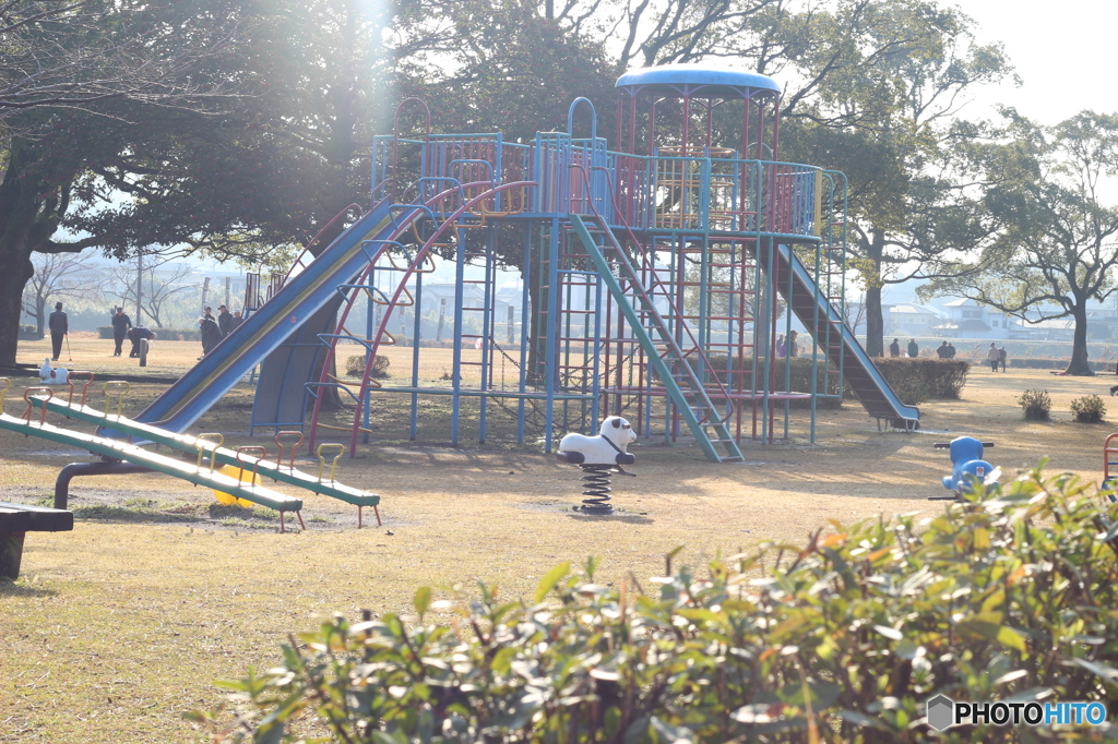 朝の公園