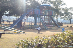 朝の公園