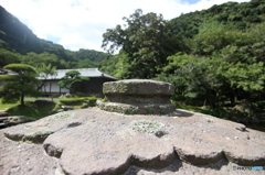 傘の部分