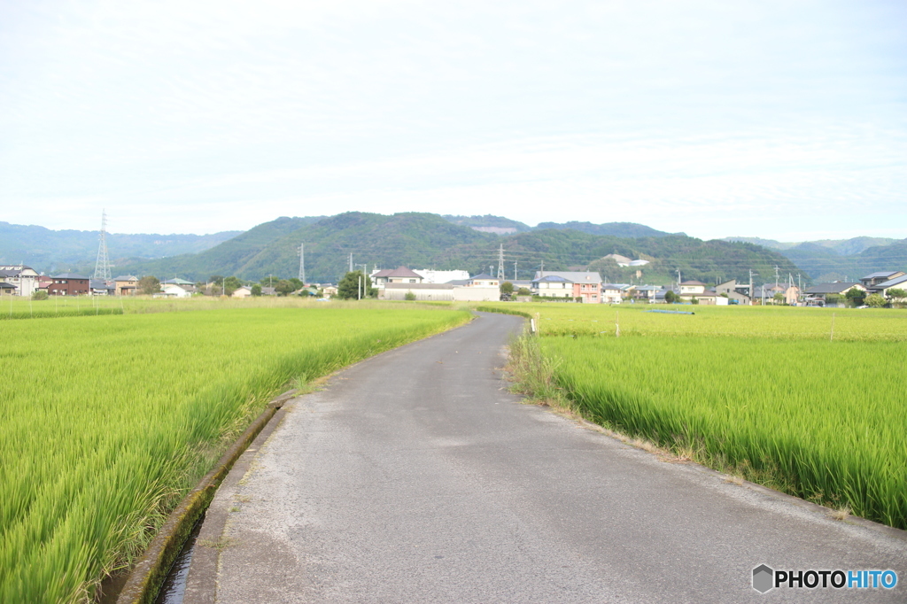 景観を作りながら撮れるようになったら素敵だなって思う