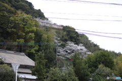 現在郵送での支援物資受け入れ不可