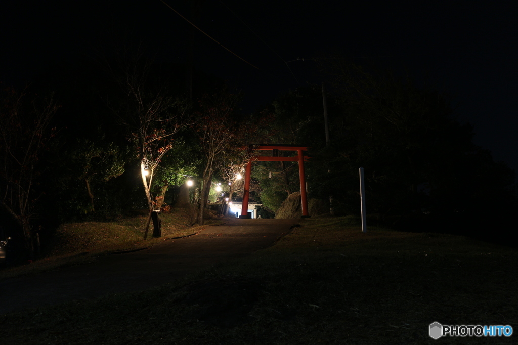 神社ライトアップ