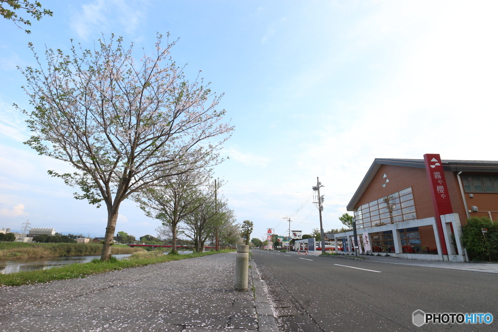 鹿児島より熊本の心配を