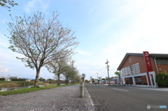 鹿児島より熊本の心配を