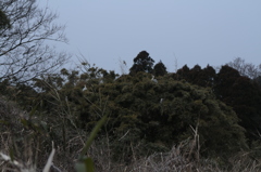 生体長時間露出（意味深）