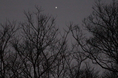 一番星に照らされて