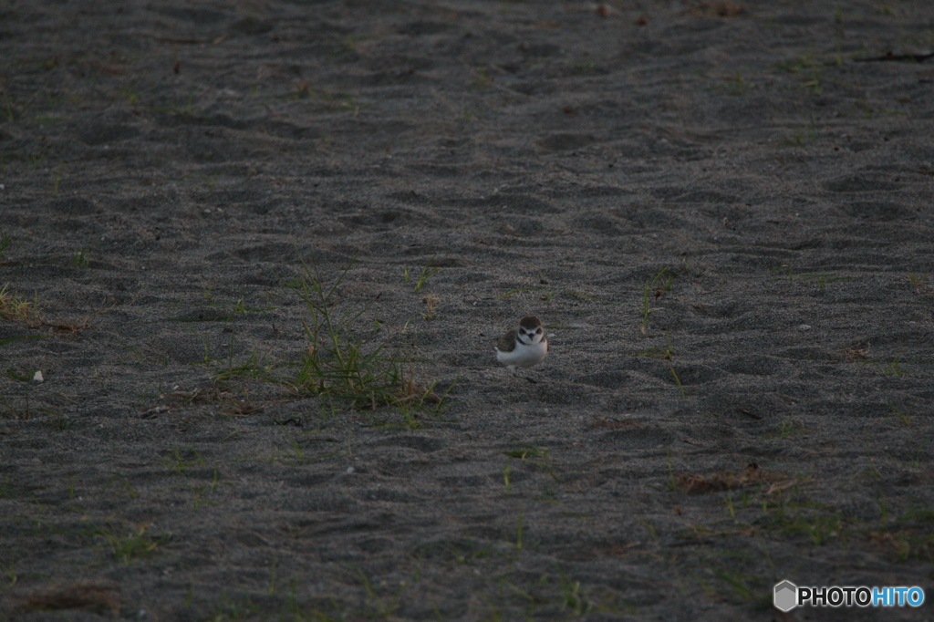 まんまる一本足