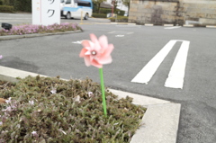 TDN風車