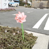 TDN風車