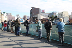 野鳥撮影　山崎川