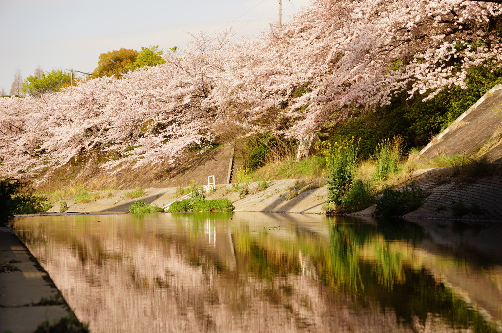 シンメトリー