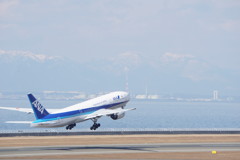JA741A(全日空)