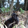 散策　牧野が池緑地