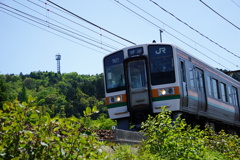 颯爽　新緑に包まれ　東海道本線