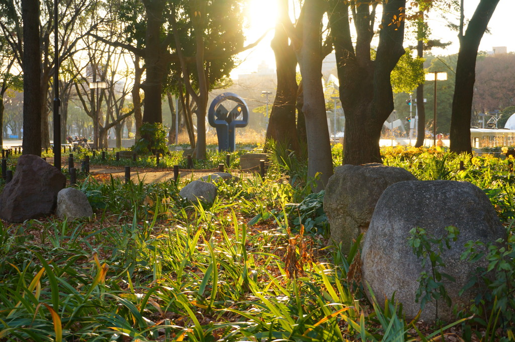 夕暮れの公園