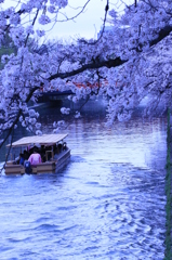 舟から花見
