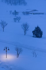 a silent snow scene