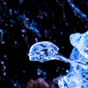 piece of broken ice