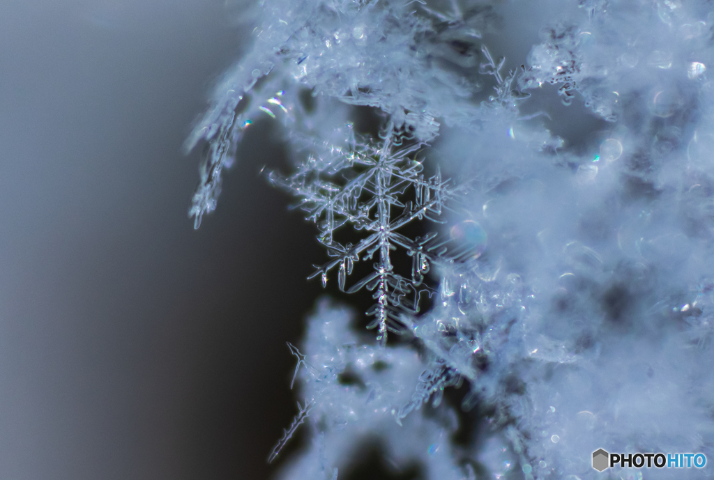 雪の結晶