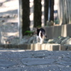 またね
