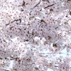 つつまれる。