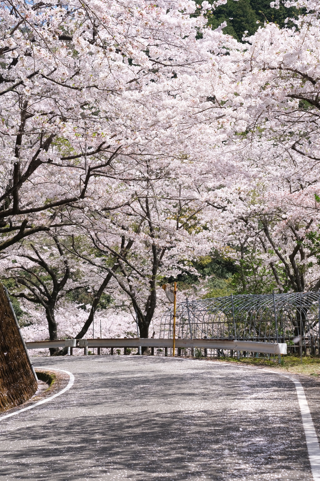 トンネル