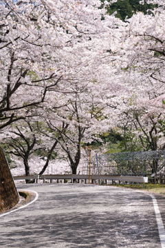 トンネル