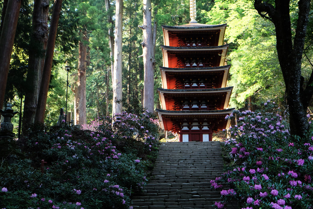 石楠花と五重塔