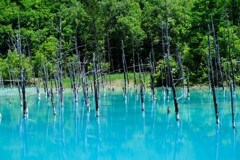 青い池