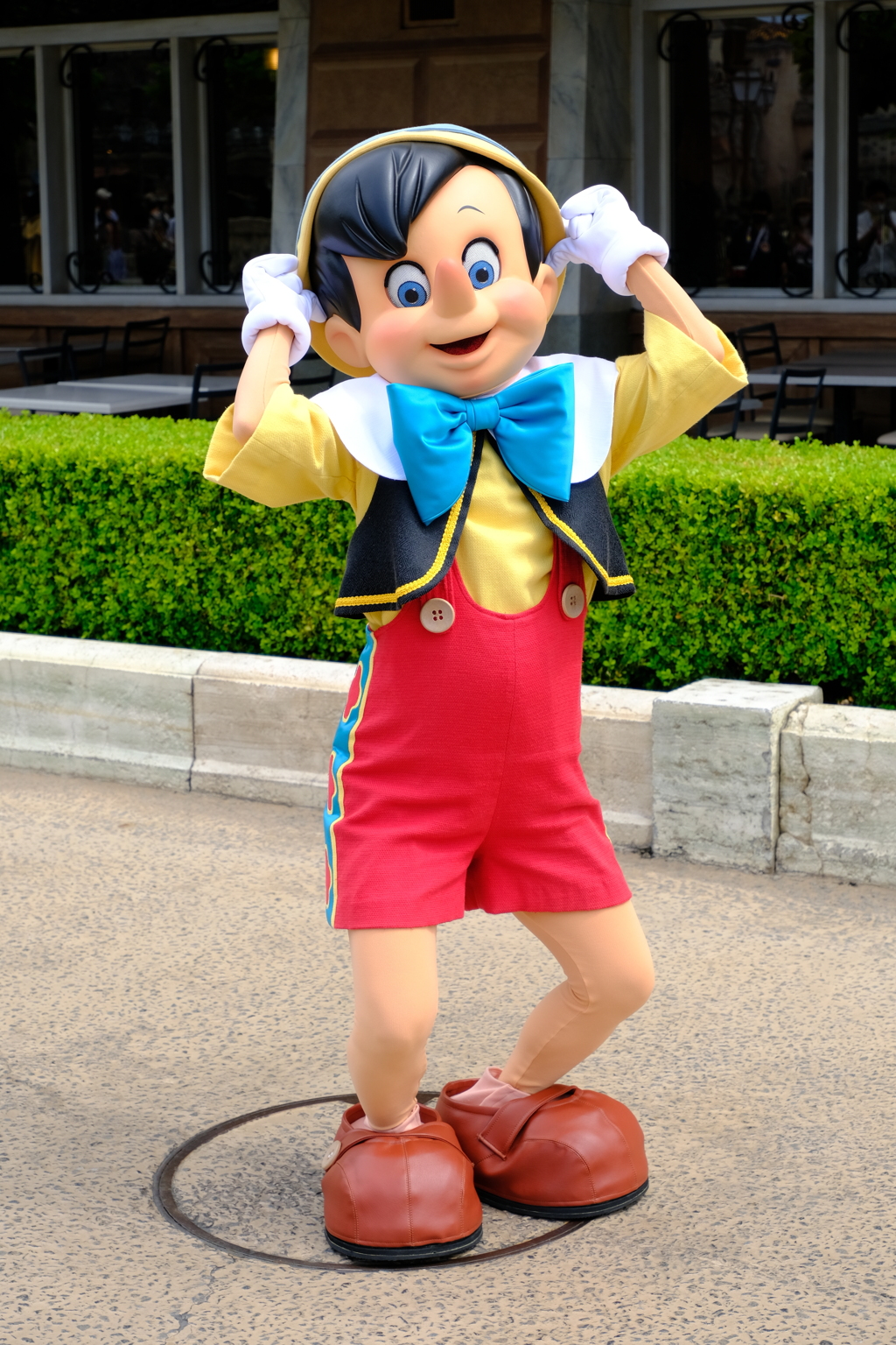 ピノキオ。