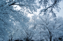 ３月の雪の日