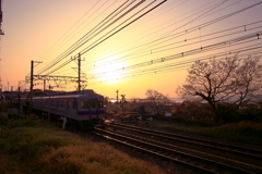 海岸線のズームカー