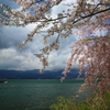 染井と枝下と船と空