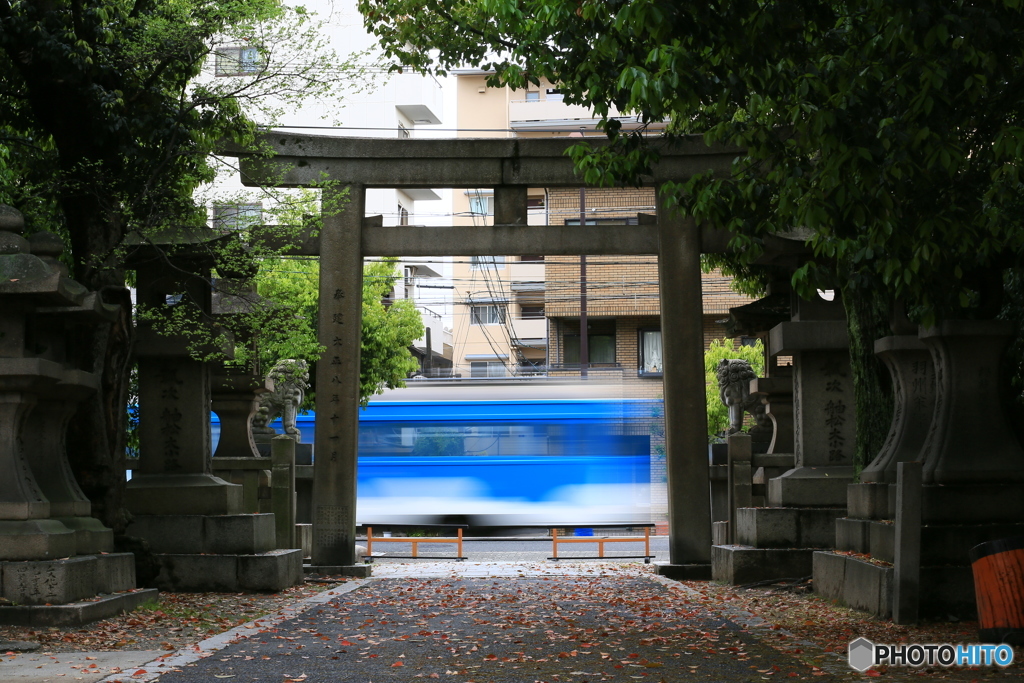 鳥居の向こう側