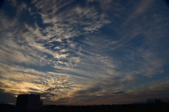 夕方