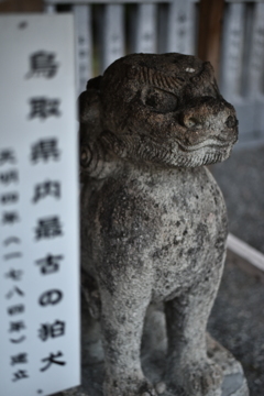 鳥取県最古の狛犬