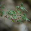 P1030871