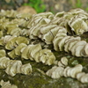P1030882